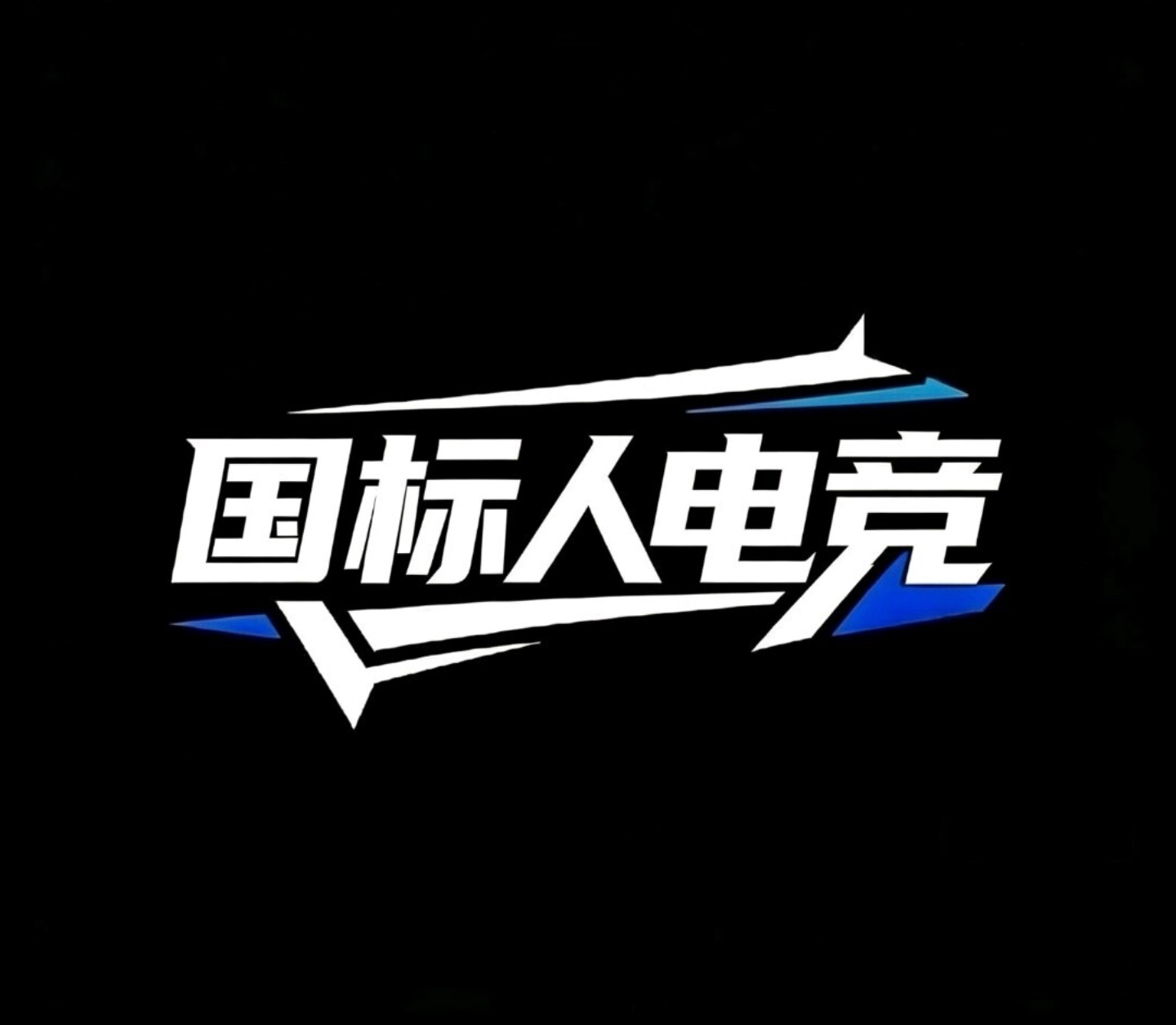 国标人电竞